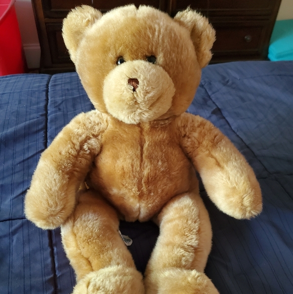 Build a bear Teddy bear - Picture 9 of 16